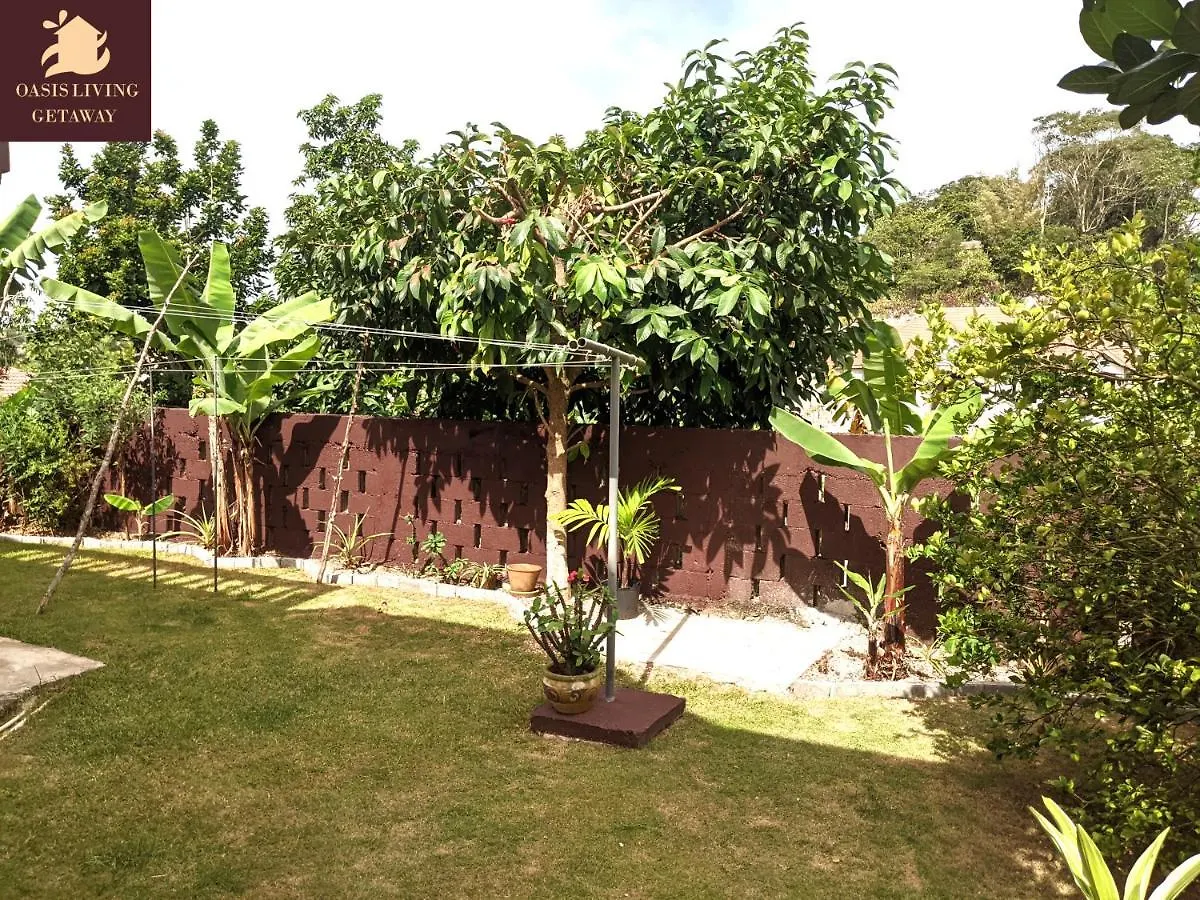 Apartment Oasis Living Getaway In Mandeville, Manchester Jamaica