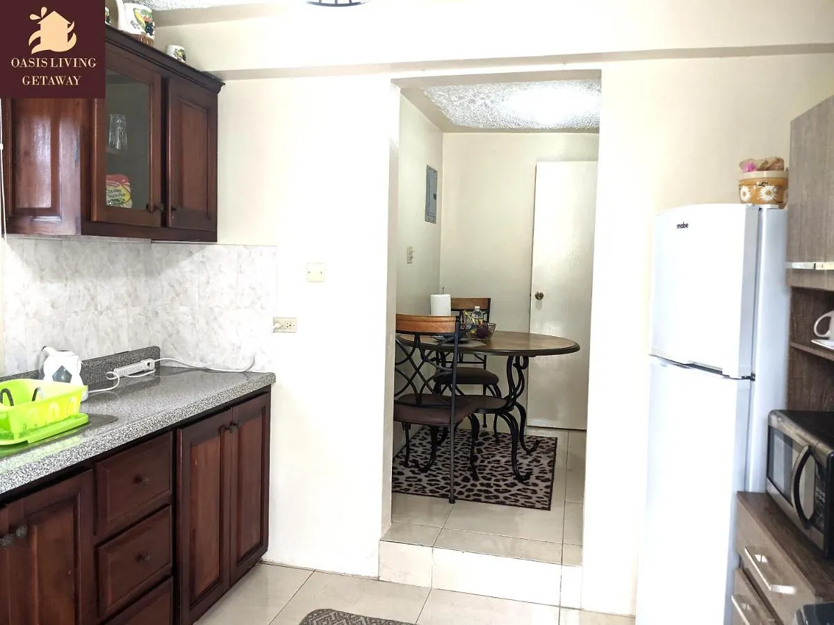 Apartment Oasis Living Getaway In Mandeville, Manchester