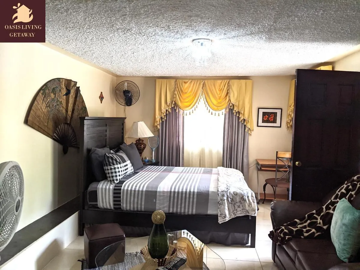 Apartment Oasis Living Getaway In Mandeville, Manchester